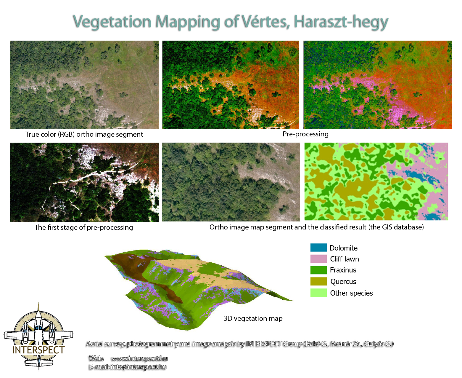 Vegetation survey